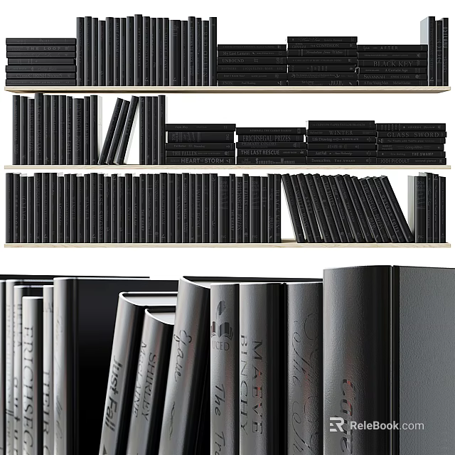 Numerous Books and Magazines Neatly Arranged on Shelves with Black Spines 3d model 