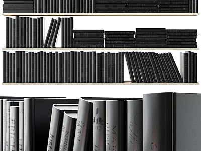 Numerous Books and Magazines Neatly Arranged on Shelves with Black Spines 3d model