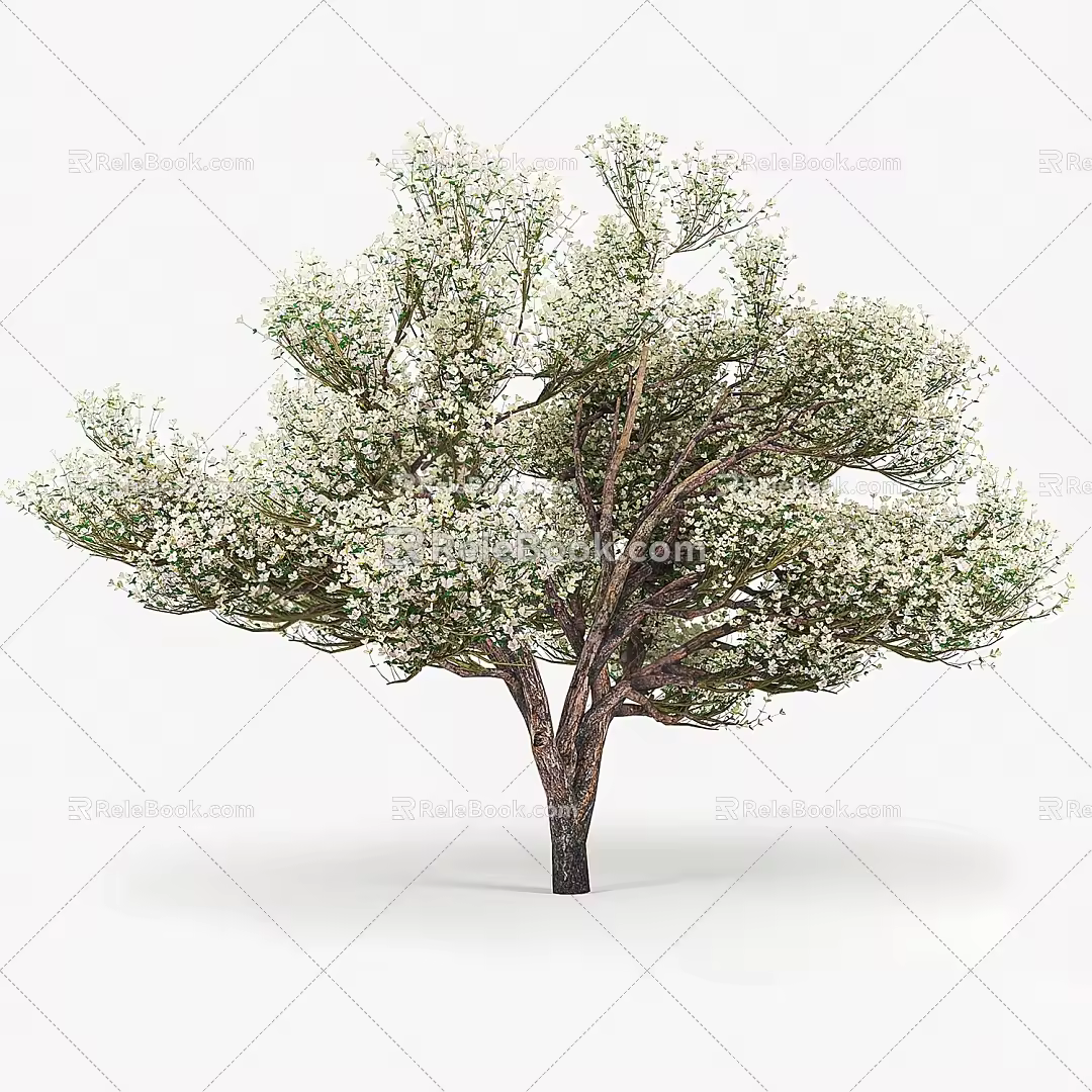 Modern apple tree landscape tree 3d model
