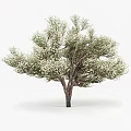 Modern apple tree landscape tree 3d model