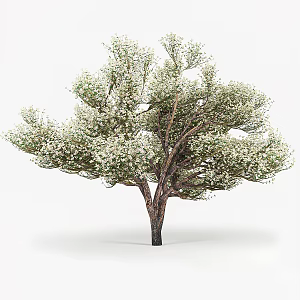 Modern apple tree landscape tree 3d model