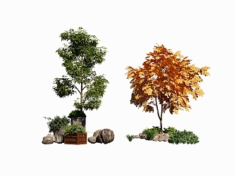 Modern Tree Plant Fruit Tree Landscape Tree Stone Landscape Stone 3d model