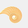 Modern Artistic Spiral Design Decorative Ornament Set For Home Decoration