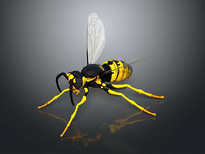 Vibrant Yellow and Black Wasp with Transparent Wings and Slender Legs on Dark Surface 3d model