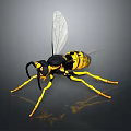 Vibrant Yellow and Black Wasp with Transparent Wings and Slender Legs on Dark Surface