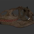 Detailed Brown Dinosaur Skull Doll with Red Teeth On Gray Background 3d model