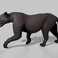 Realistic Black Panther 3D Model With Red Eyes And Walking Pose 3d model