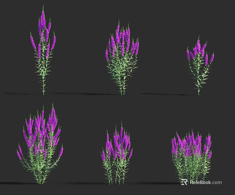 Vibrant Purple Spike Like Flowers With Green Stems And Leaves In Multiple Plants 3d model 