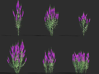 Vibrant Purple Spike Like Flowers With Green Stems And Leaves In Multiple Plants 3d model