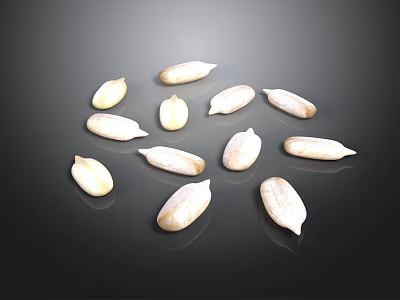 White Shelled Sunflower Seeds as Healthy Snack Arranged on Black Reflective Surface 3d model