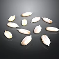 White Shelled Sunflower Seeds as Healthy Snack Arranged on Black Reflective Surface