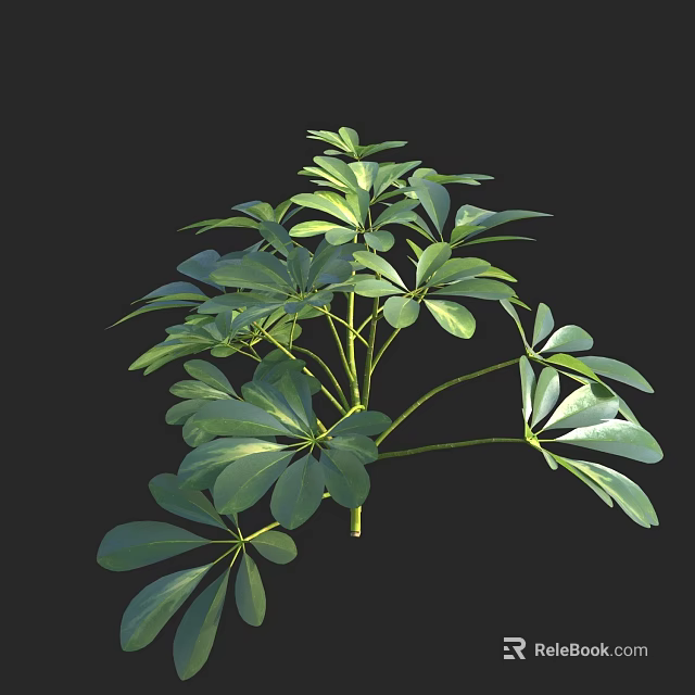 Lush Green Shrub With Dense Foliage And Vibrant Fresh Leaves In Outdoor Space 3d model 