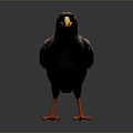 Crow Bird Bird Bird Bird Bird Animal Game Animal Cartoon Animal Animal 3d model