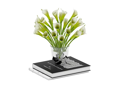 Beautiful White Calla Lilies in Transparent Glass Vase on Black Book 3d model
