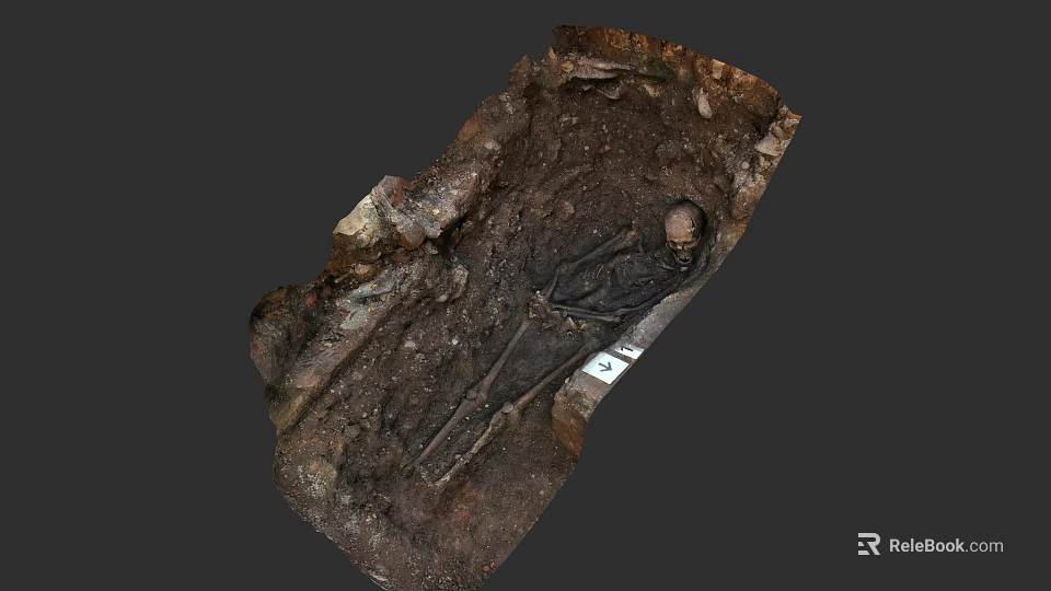 Man Skeleton Discovered in Soil at Archaeological Excavation Site 3d model 