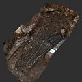 Man Skeleton Discovered in Soil at Archaeological Excavation Site