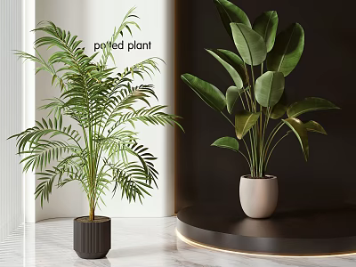 Modern Indoor Potted Plants Featuring Lush Green Leaves And Stylish Planters 3d model