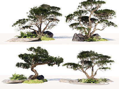 Landscape Tree Pine Tree Landscape Tree Pot Tree Planting Stone Micro-terrain Arbor Pohan Pine model