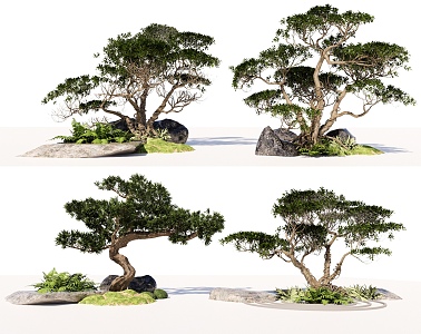 Landscape Tree Pine Tree Landscape Tree Pot Tree Planting Stone Micro-terrain Arbor Pohan Pine 3d model