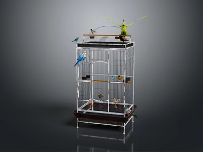 Elegant Decorative Ornament Set With Birdcage And Colorful Birds Inside And On Top 3d model