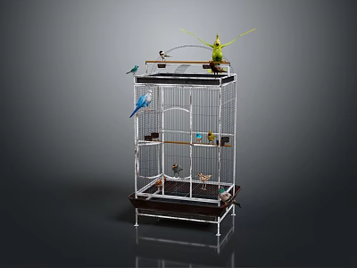 Elegant Decorative Ornament Set With Birdcage And Colorful Birds Inside And On Top 3d model
