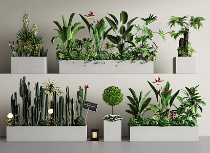 Plant combination green plant flower box plant potted plant flower box plant pile cactus flower pond flower bed 3d model
