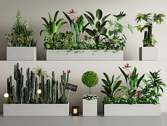 Plant combination green plant flower box plant potted plant flower box plant pile cactus flower pond flower bed 3d model