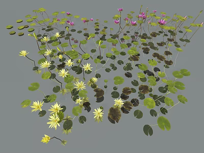 Vibrant Aquatic Plants With Floating Lily Pads Green Leaves And Flowers 3d model
