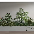 Bonsai Potted Plants in Long Rectangular Planter with Palm Succulents White Flowers Hanging Vines