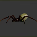 Realistic Spider Model With Dark Legs And Shiny Yellow Abdomen On Dark Background