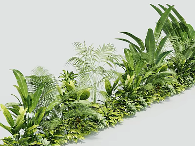 Various Hanging Basket Plants with Lush Green Leaves for Decorative Indoor Arrangement 3d model