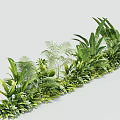 Various Hanging Basket Plants with Lush Green Leaves for Decorative Indoor Arrangement