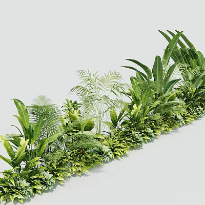 Various Hanging Basket Plants with Lush Green Leaves for Decorative Indoor Arrangement 3d model