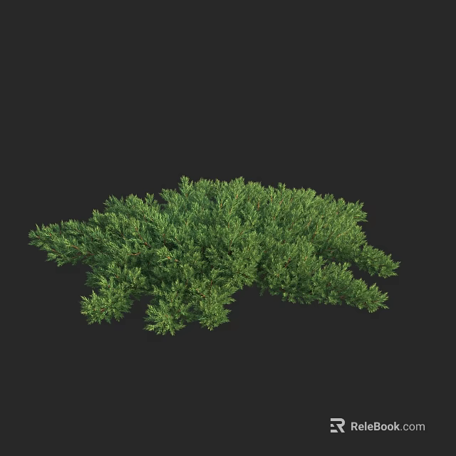 Green Bush Plant With Lush Dense Foliage In Irregular Shape Against Black Background 3d model 