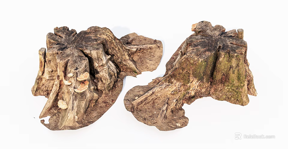 Natural Wood Stumps With Rustic Texture And Organic Shapes For Decor 3d model 