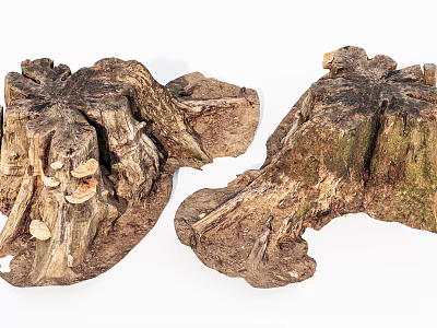 Natural Wood Stumps With Rustic Texture And Organic Shapes For Decor 3d model
