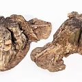 Natural Wood Stumps With Rustic Texture And Organic Shapes For Decor