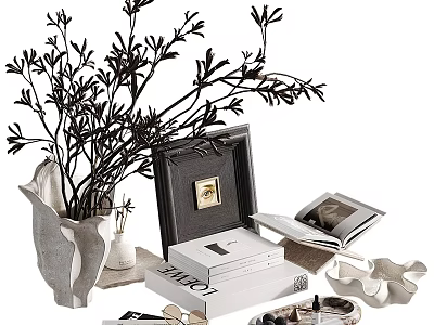 Stylish Decorative Ornament Set With Vase Branches Photo Frame And Books 3d model