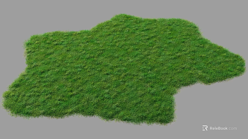 Lush Green Grass Lawn With Natural Texture And Vibrant Outdoor Appearance 3d model 