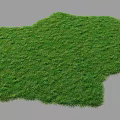 Lush Green Grass Lawn With Natural Texture And Vibrant Outdoor Appearance