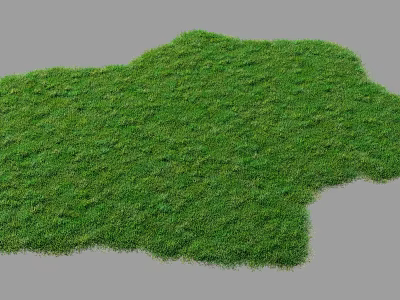 Lush Green Grass Lawn With Natural Texture And Vibrant Outdoor Appearance 3d model