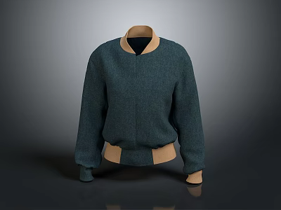 Sweater Blue Sweater Men's Clothing Fashion Single Product Clothing Design Clothes 3d model