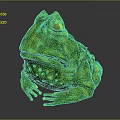 Green Frog 3D Model With Shiny Surface Bumpy Texture And Large Black Eyes