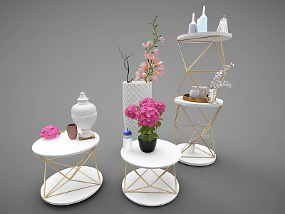 Elegant Decorative Ornament Set With White Round Gold Frame Tables Pink Flowers And Tiered Shelf 3d model