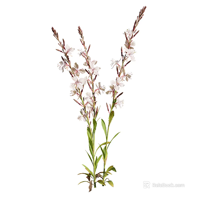 Fresh White Flowers With Green Stems And Leaves In Natural Setting 3d model 