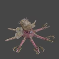 Fantasy Octopus Like Game Movie Character With Rock Head Multiple Tentacles And Pink Brown Color