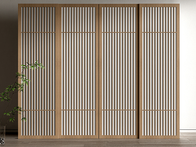 Modern sliding door model