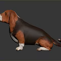 Basset Hound Dog With Orange Brown And Black Coat Sitting On Dark Background