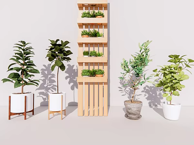 Bonsai Potted Plants Display With Wooden Shelf And Various Greenery Planters 3d model