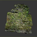 Layered Rock Structure Covered With Green Moss And Small Plants 3d model